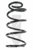 SPIDAN 86666 Coil Spring